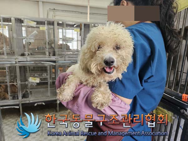 한국동물구조관리협회_411301202400340